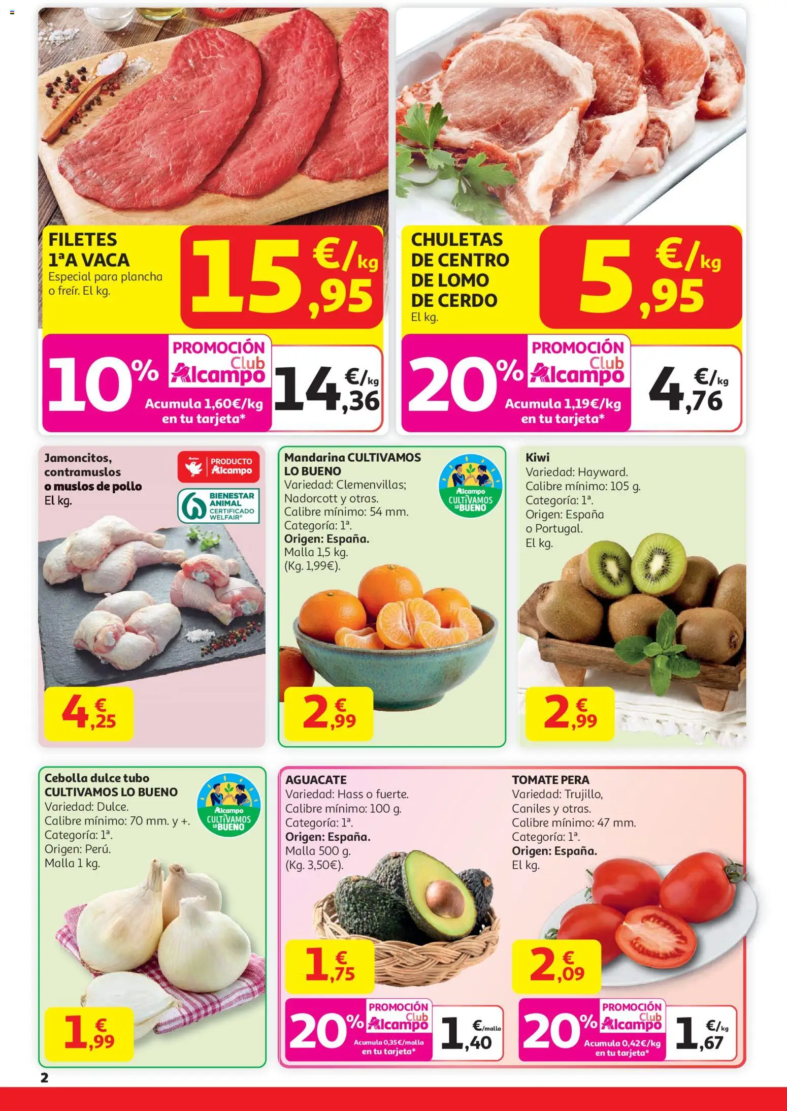 Alcampo - Superstore Cat │ válido desde el 29.12.2025 | Página: 2 | Productos: Cerdo, Kiwi, Παγωμένο τσάι, Plancha