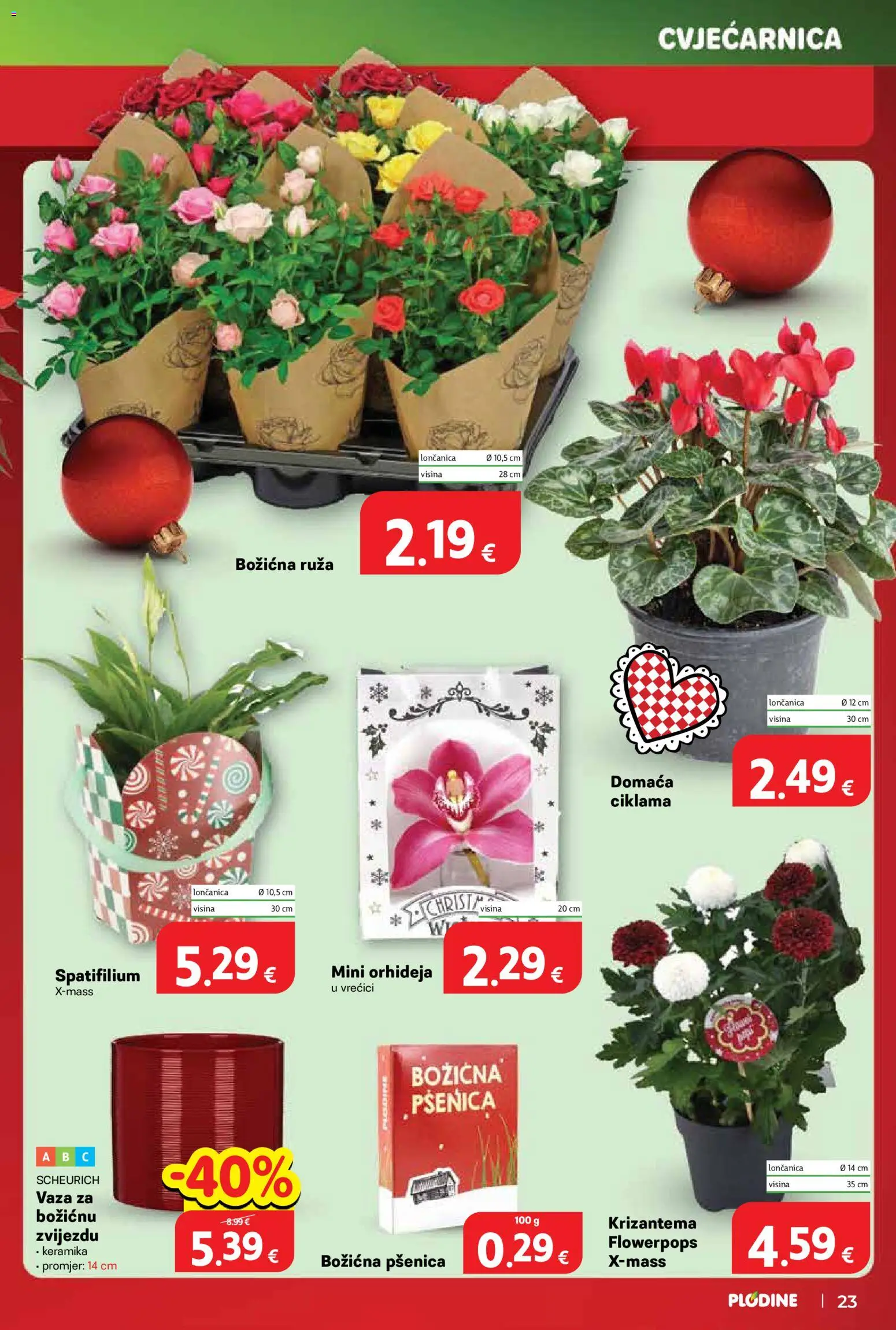 Plodine katalog | vrijedi od 03.12.2025 | Stranica: 23 | Proizvodi: Orhideja, Vaza