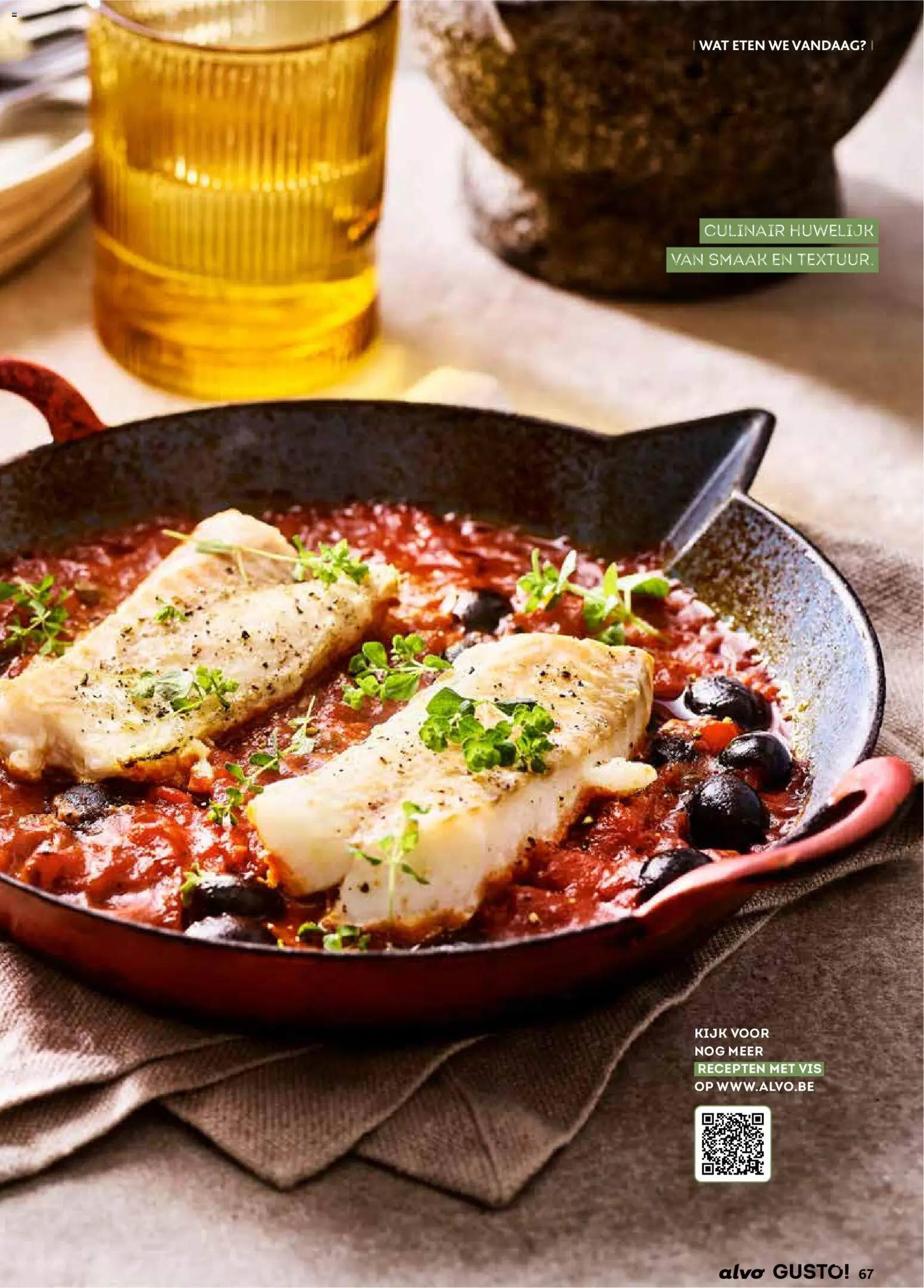 {H1} | Pagina: 67 | Producten: Vis