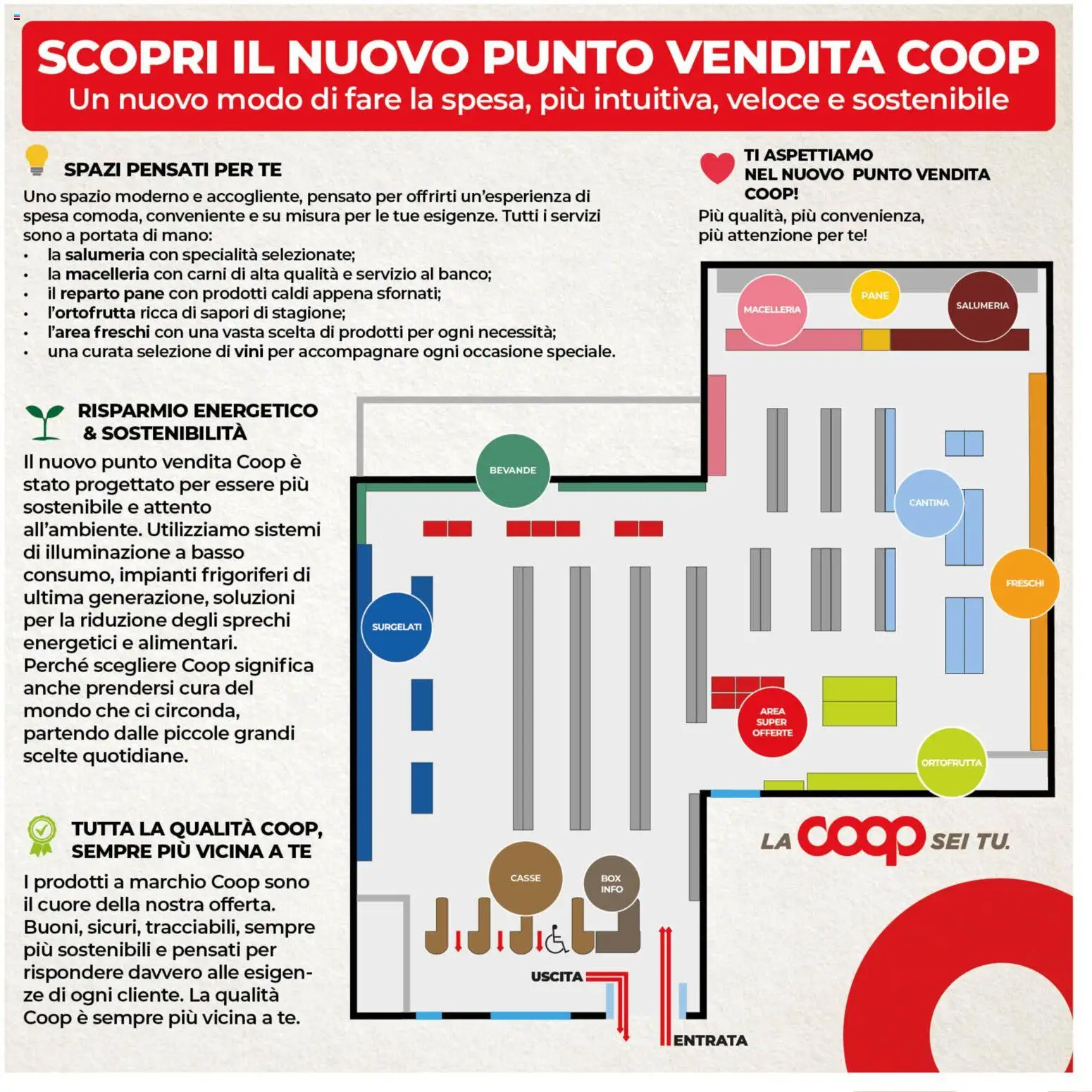 Volantino COOP del 29.01.2026 | Pagina: 2 | Prodotti: Pane, Tè