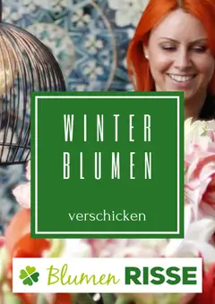 Blumen Risse Prospekt 	 ab 24.11.2025 gültig