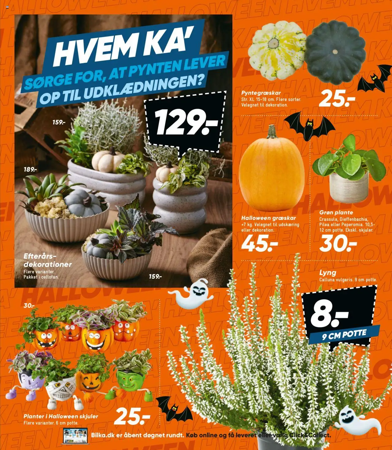 Bilka tilbudsavis – gyldig fra 19.09.2025 | Side: 30 | Produkter: Græskar