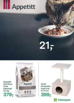 Forhåndsvisning av Felleskjøpet kundeavis gyldig fra 27.10.2025 | Side: 10