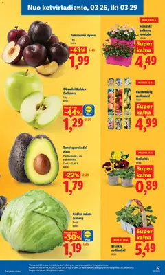 LIDL leidinys galioja nuo 23.03.2026 | Puslapis: 31 | Prekių: Salota, Avokadai, Krepšelis, Obuoliai
