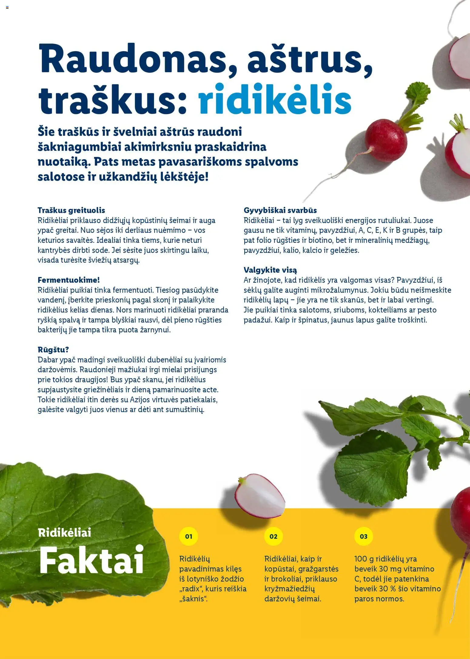 LIDL akcijos nuo 23.02.2026 | Puslapis: 36