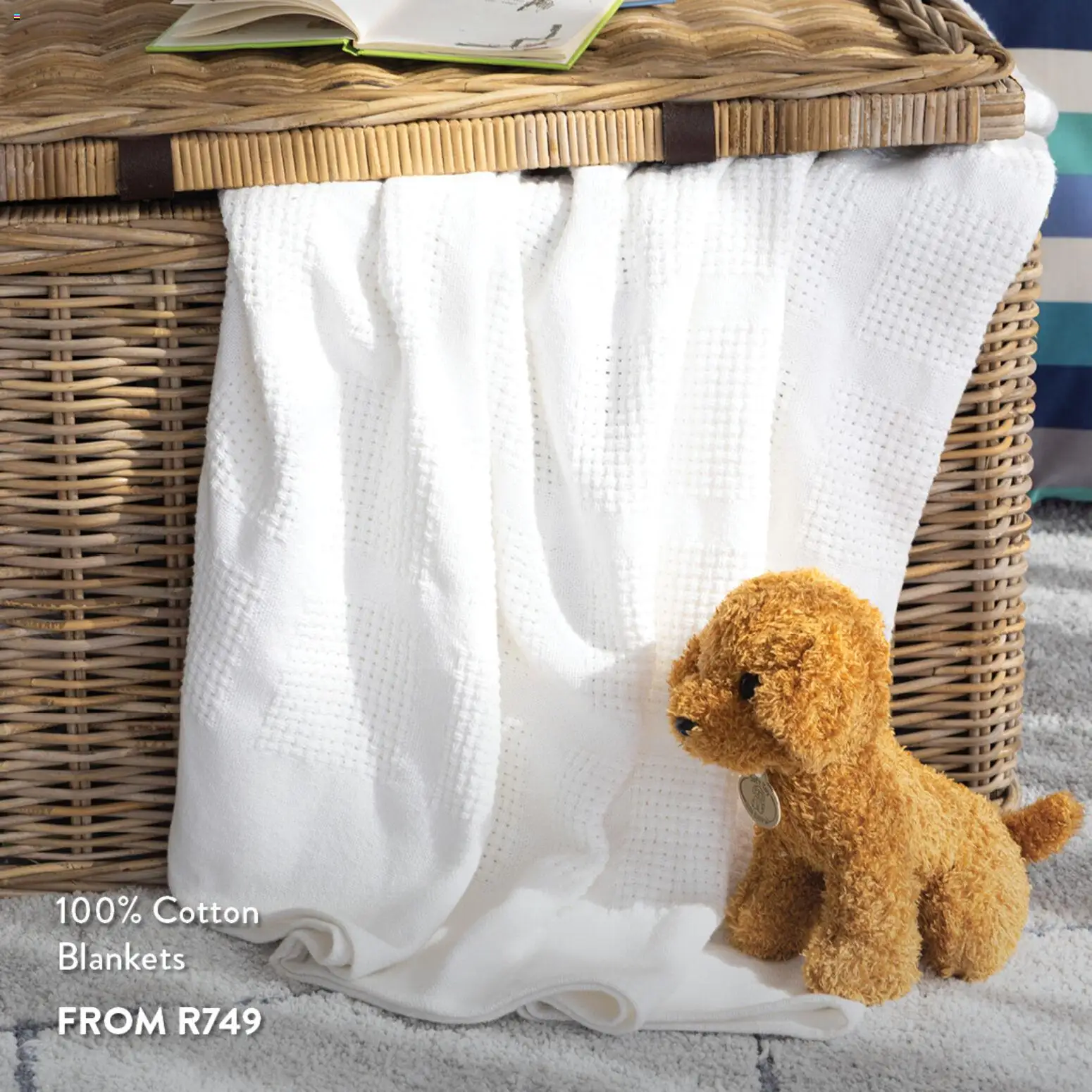 New Volpes catalogue – valid from 19.11.2025 | Page: 4 | Products: Blankets