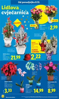 Katalog Lidl - Pregled kataloga iz trgovine Lidl, vrijedi od 08.12.2025 | Stranica: 80
