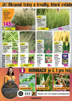 HORNBACH leták - Zelená střecha od 06.08.2025 | Strana: 4
