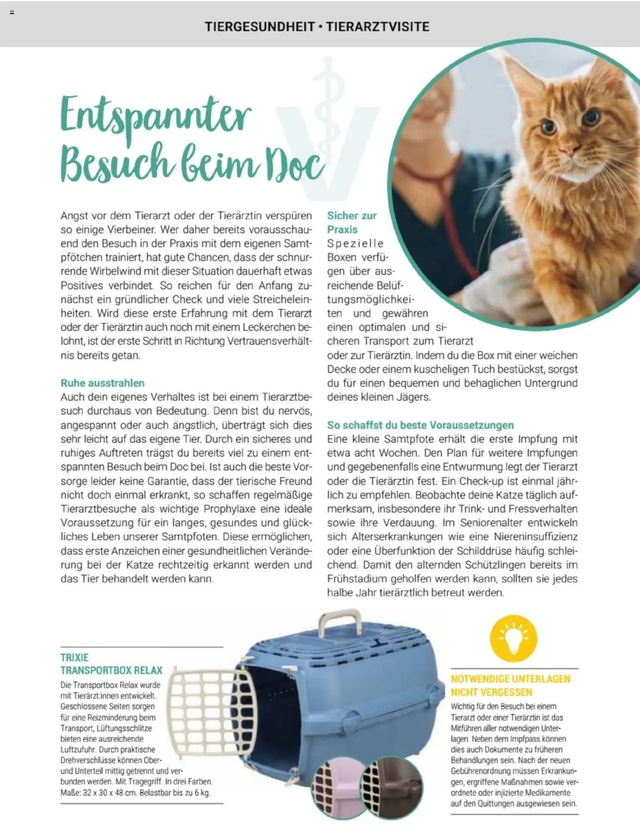 zookauf Themenkatalog Katze – gültig ab 01.10.2025 | Seite: 31 | Produkte: Decke, Box