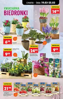 Pogląd oferty "KLUSKI Z POLSKIM PESTO, KLUSKI Z POLSKIM PESTO, 300 g" - ważna od 19.03.2026 | Strona: 79 | Produkty: Pesto, Suszone pomidory, Pomidory, Mozzarella