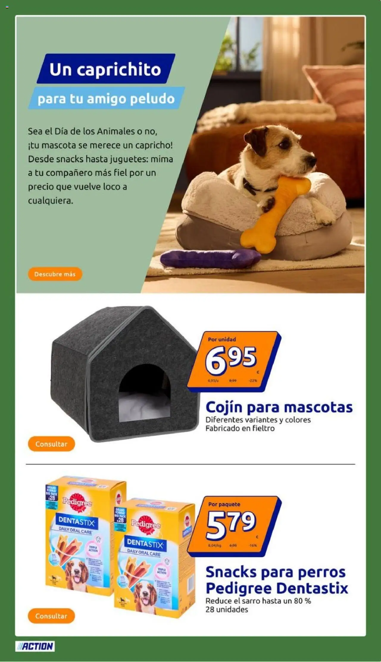 Action - Action ES week 38 2025 │ válido desde el 17.09.2025 | Página: 21 | Productos: Juguetes, Cojín