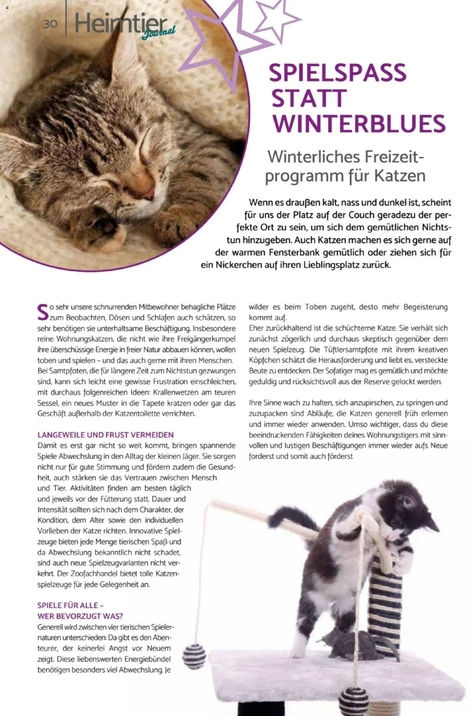 zookauf  Heimtier Journal – gültig ab 01.02.2026 | Seite: 30 | Produkte: Spiel, Couch