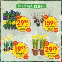 EKO erbjudanden - Förhandsvisning av reklamblad från butik EKO aktuell från 16.03.2026