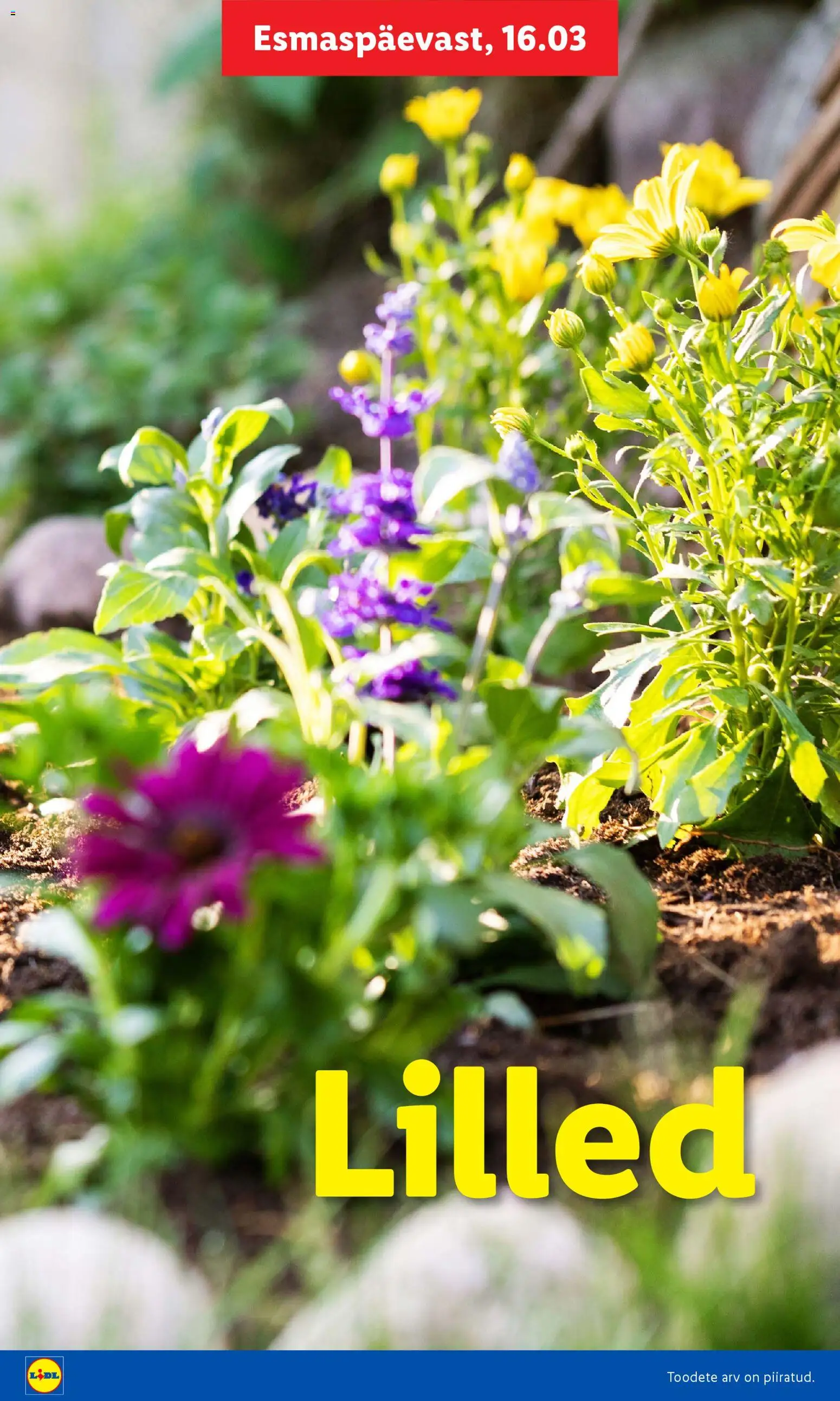 {H1} | Lehekülg: 14