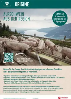 Vorschau von dem Prospekt - Prodega Aktionen Alpschwein aus der Region ab 21.07.2025