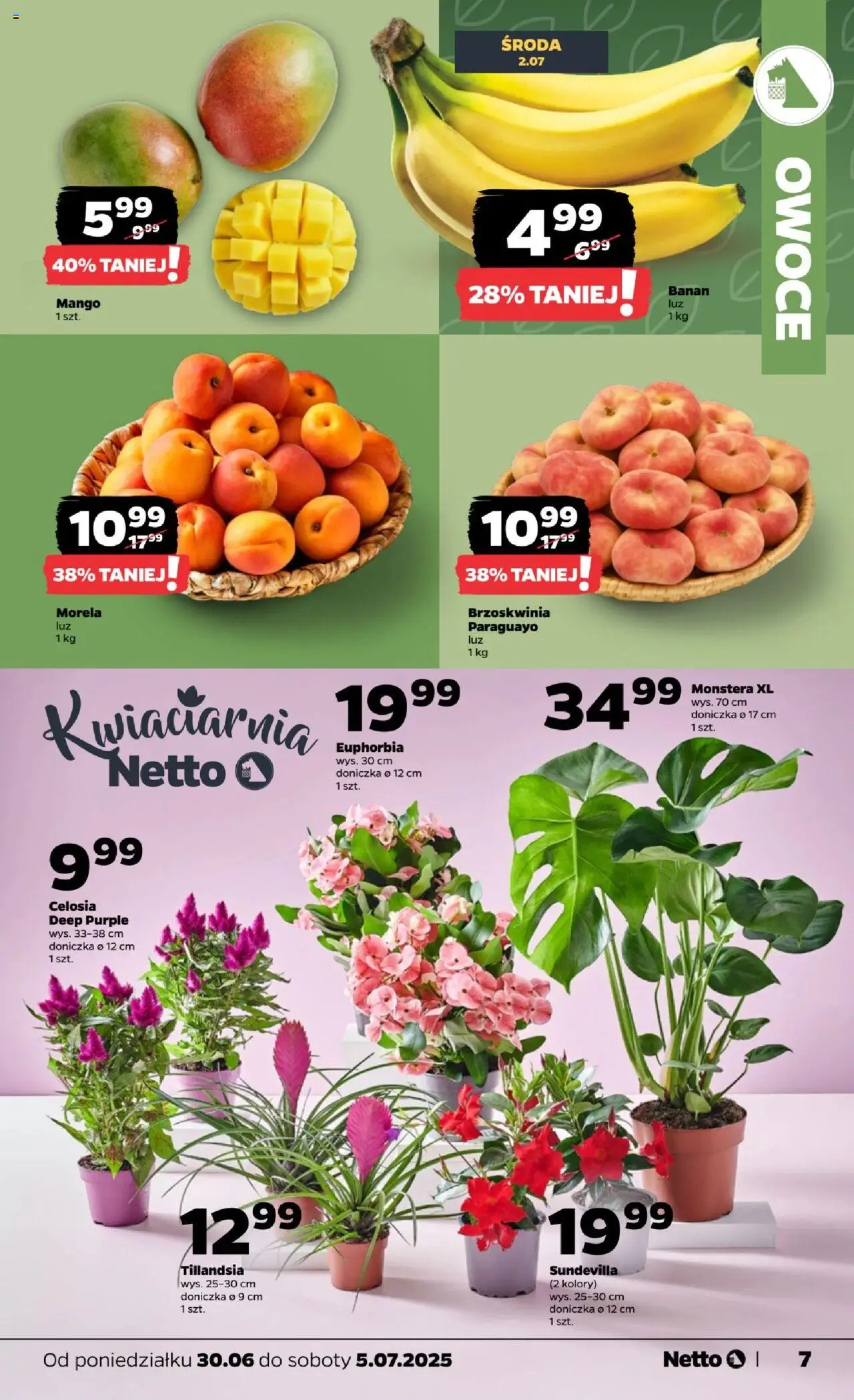 Netto gazetka - Spożywcza od 30.06.2025 | Strona: 7 | Produkty: Mango, Brzoskwinia, Doniczka, Owoce