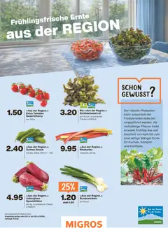 Auberginen Spezialitäten, Eggplant specialties ab 22.04.2026 gültig | Seite: 36