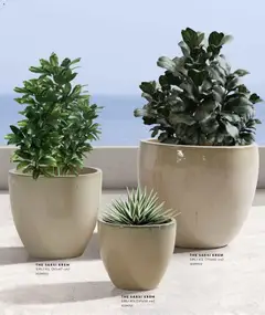 01.01.2026 tarihinden itibaren geçerli olan Mudo kataloğu önizlemesi | Sayfa: 48