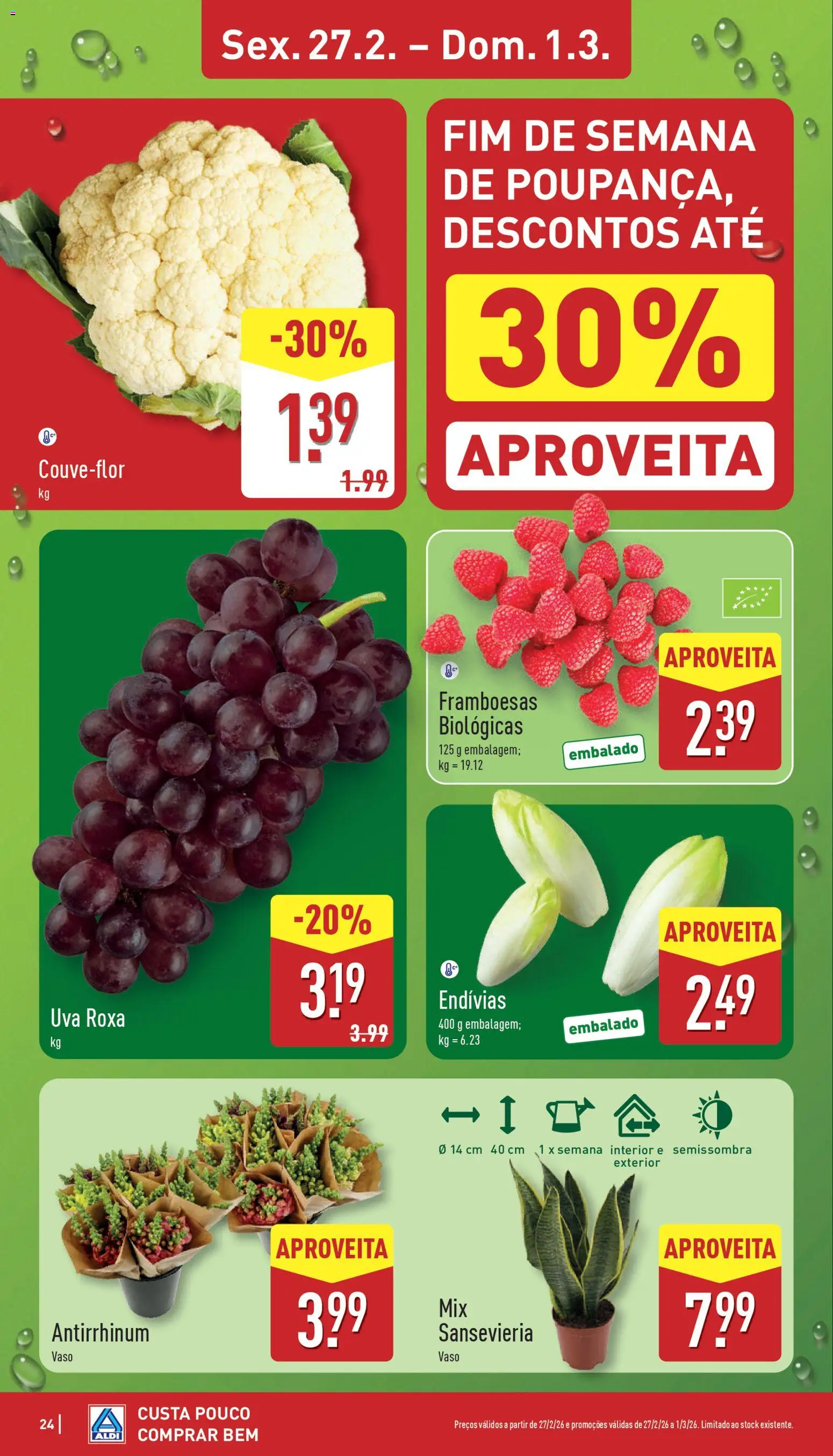 Aldi folheto │ válido de 23.02.2026 | Página: 24 | Produtos: Framboesas, Vaso