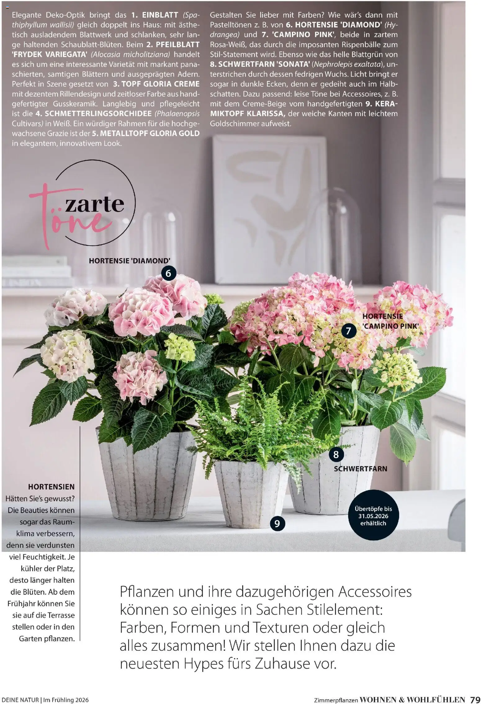 Dehner Flugblatt gültig ab 05.03.2026 | Seite: 79 | Produkte: Tisch, Creme