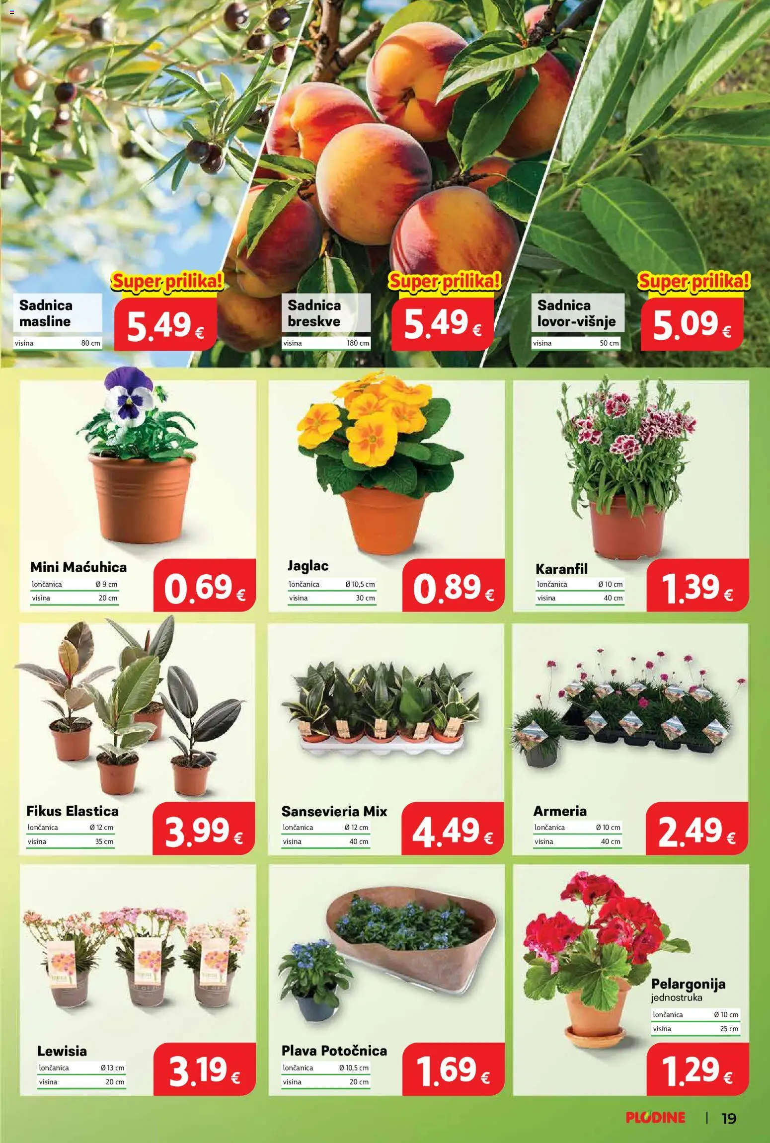 Plodine katalog | vrijedi od 11.03.2026 | Stranica: 19 | Proizvodi: Masline