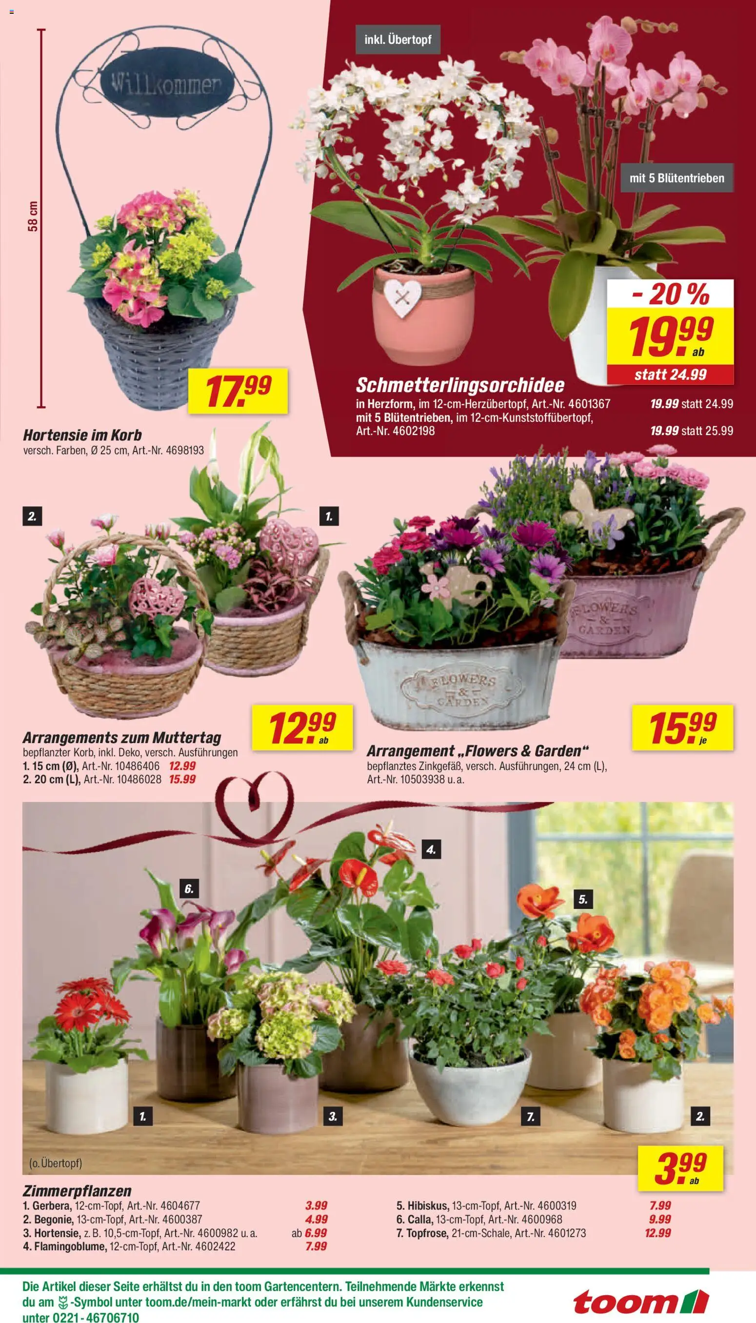 Toom Baumarkt Prospekt 	 – gültig ab 02.05.2026 | Seite: 7 | Produkte: Hortensie, Korb