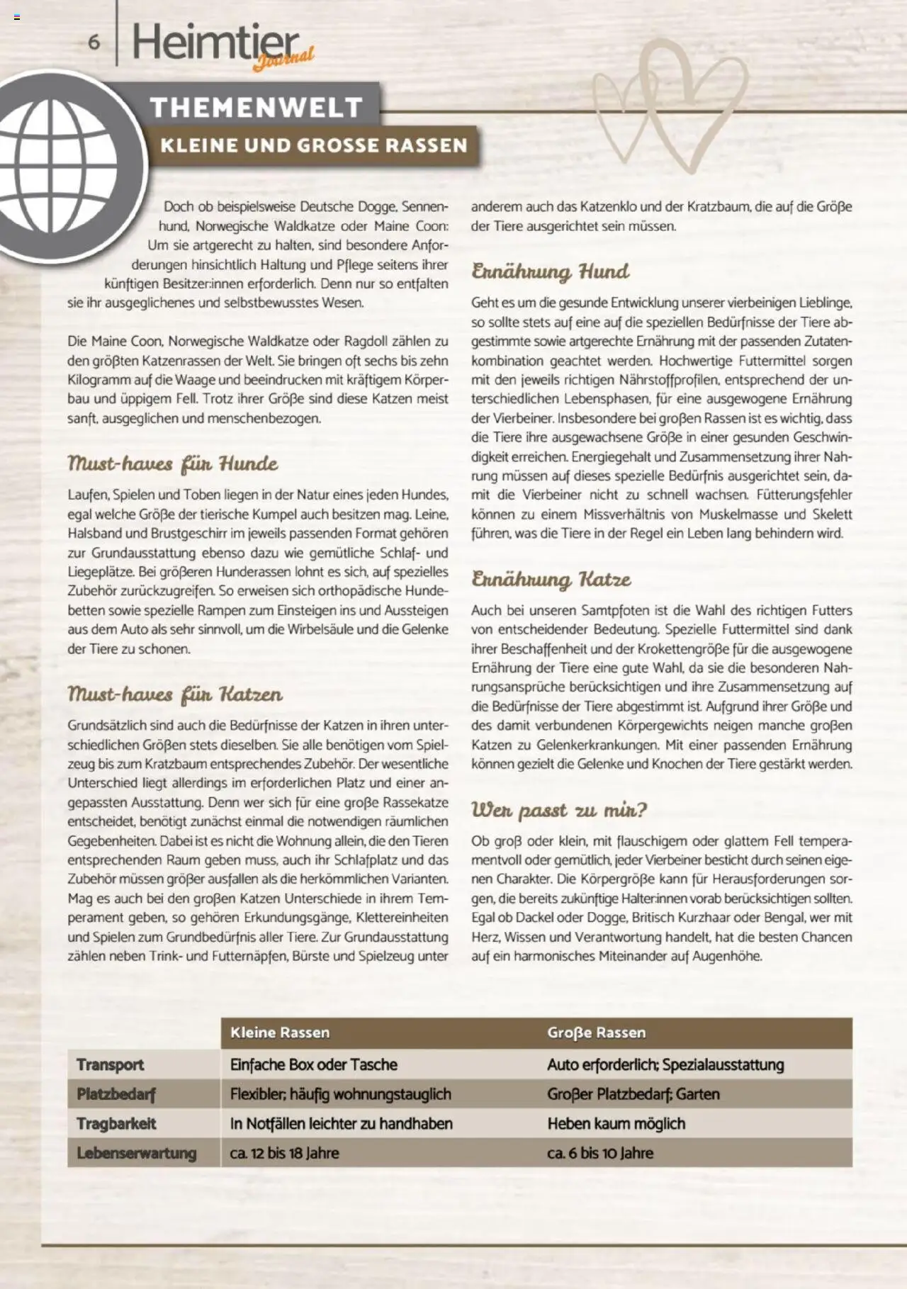 zookauf Heimtier Journal – gültig ab 01.10.2025 | Seite: 6 | Produkte: Spiel, Tasche, Box, Bürste