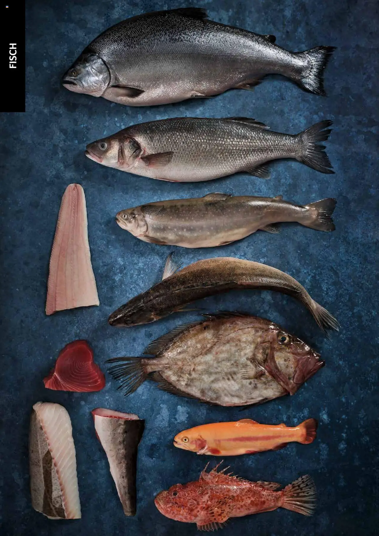 Transgourmet Cook Look-Book gültig ab 01.09.2023 | Seite: 42 | Produkte: Fisch