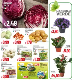 Volantino Galassia del 18.09.2025 | Pagina: 9 | Prodotti: Riso, Insalata, Carote, Capuccio