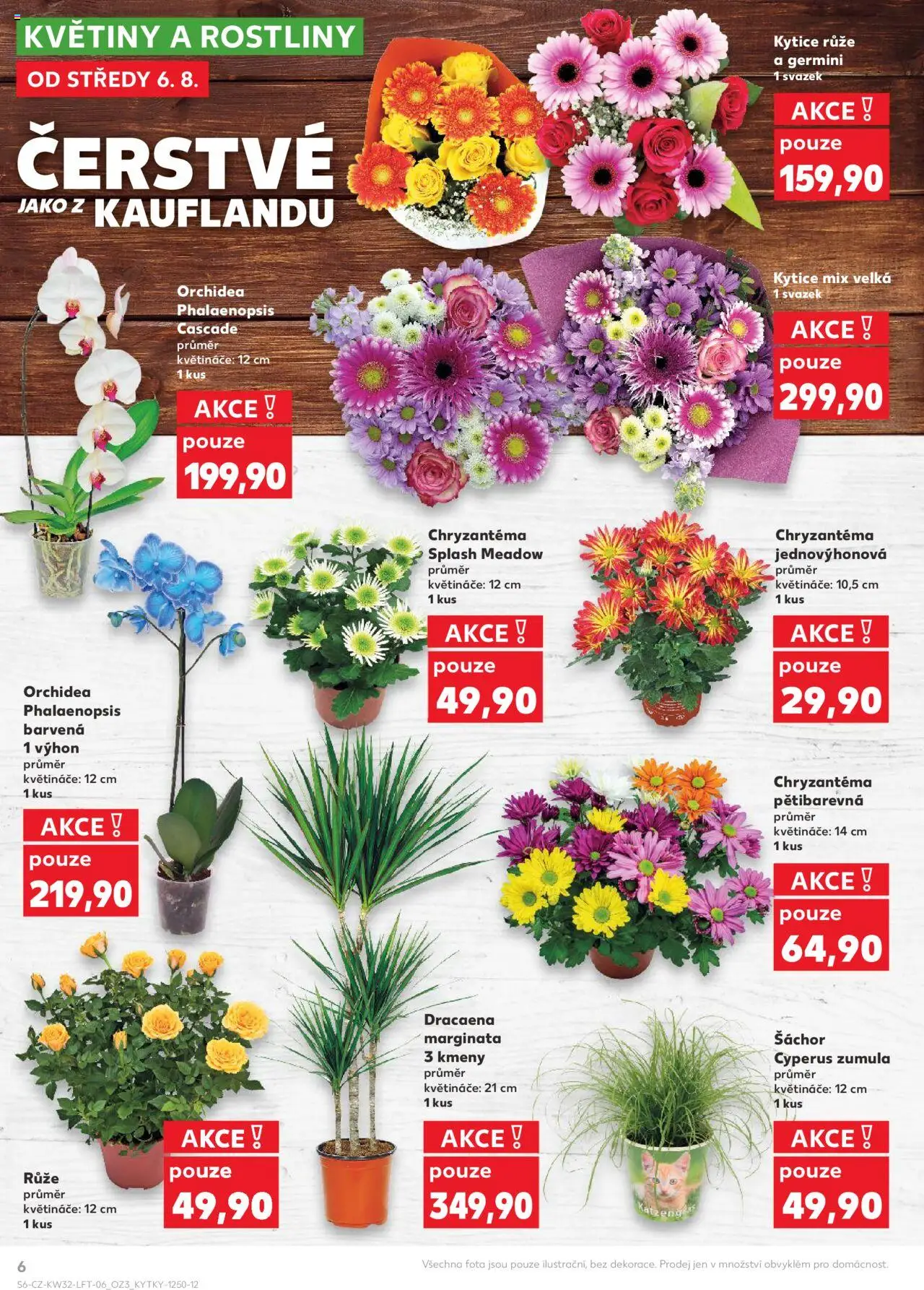 Kaufland leták - Praha 4 od 06.08.2025 | Strana: 6 | Produkty: Květináče, Rostliny, Kytice, Květiny
