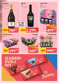 Roda katalog  - pregled Roda kataloga - važi od 12.02.2026 | Strana: 31 | Proizvode: Baileys, Pica, Vino