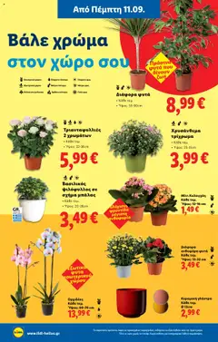  | Σελίδα: 40 | Προϊόντα: Βασιλικός, Γλάστρα
