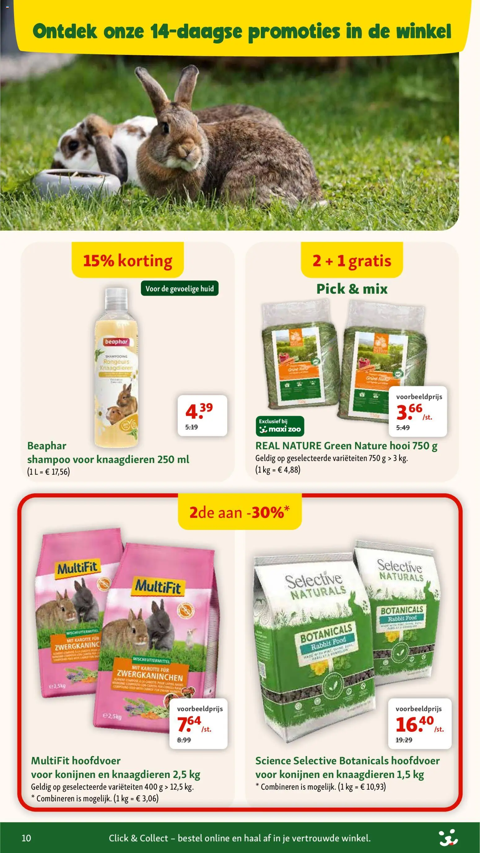 {H1} | Pagina: 10 | Producten: Shampoo