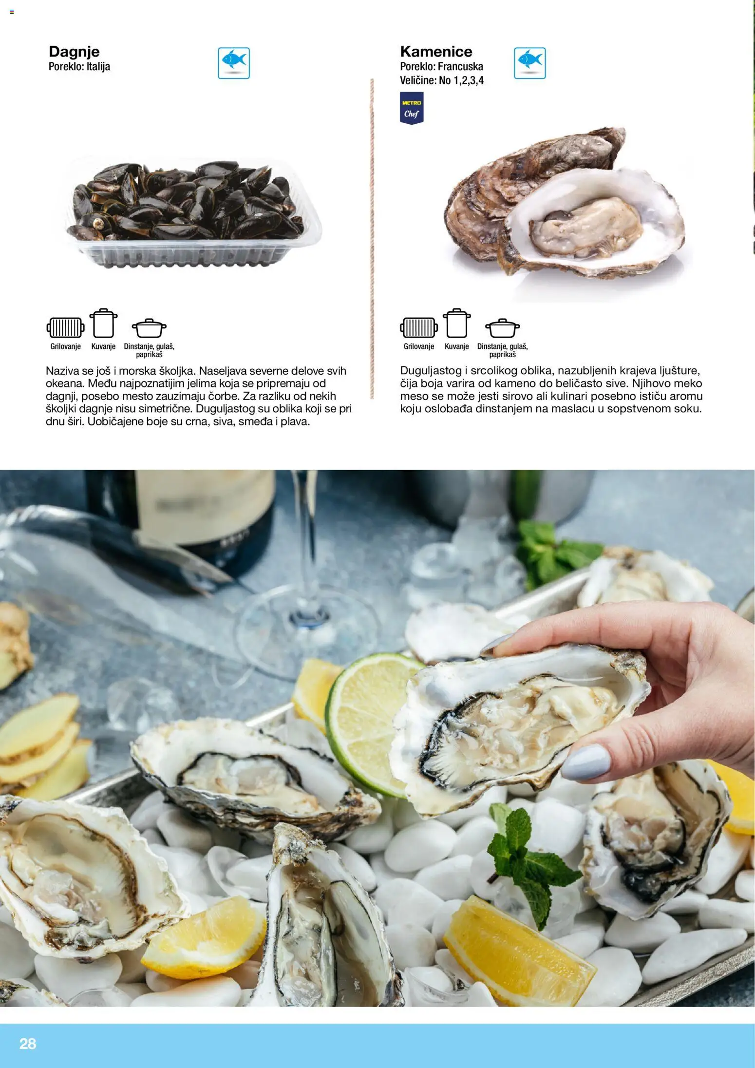 Metro katalog - važi od 10.12.2025 | Strana: 28