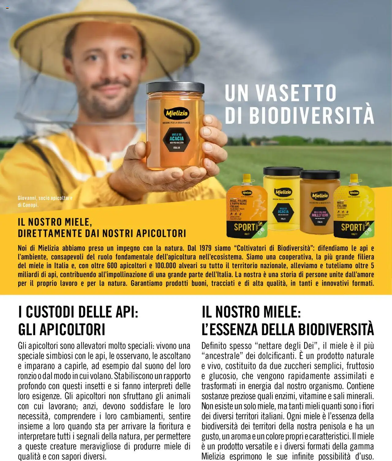 Volantino Elite Supermercati del 01.09.2025 | Pagina: 12 | Prodotti: Miele