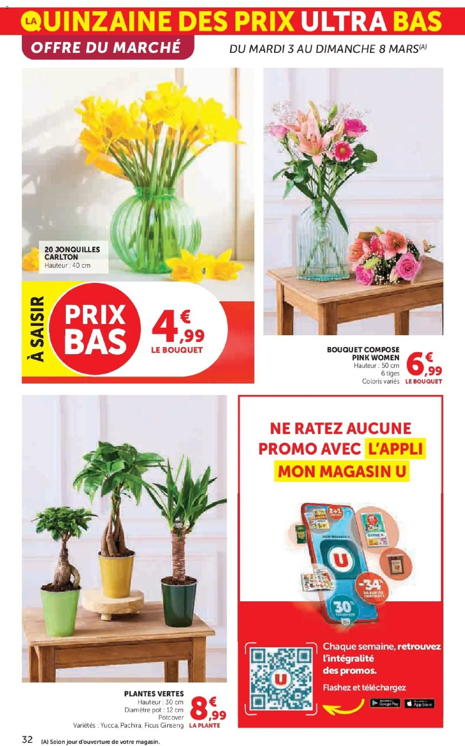 {H1} | Page: 32 | Produits: Plantes