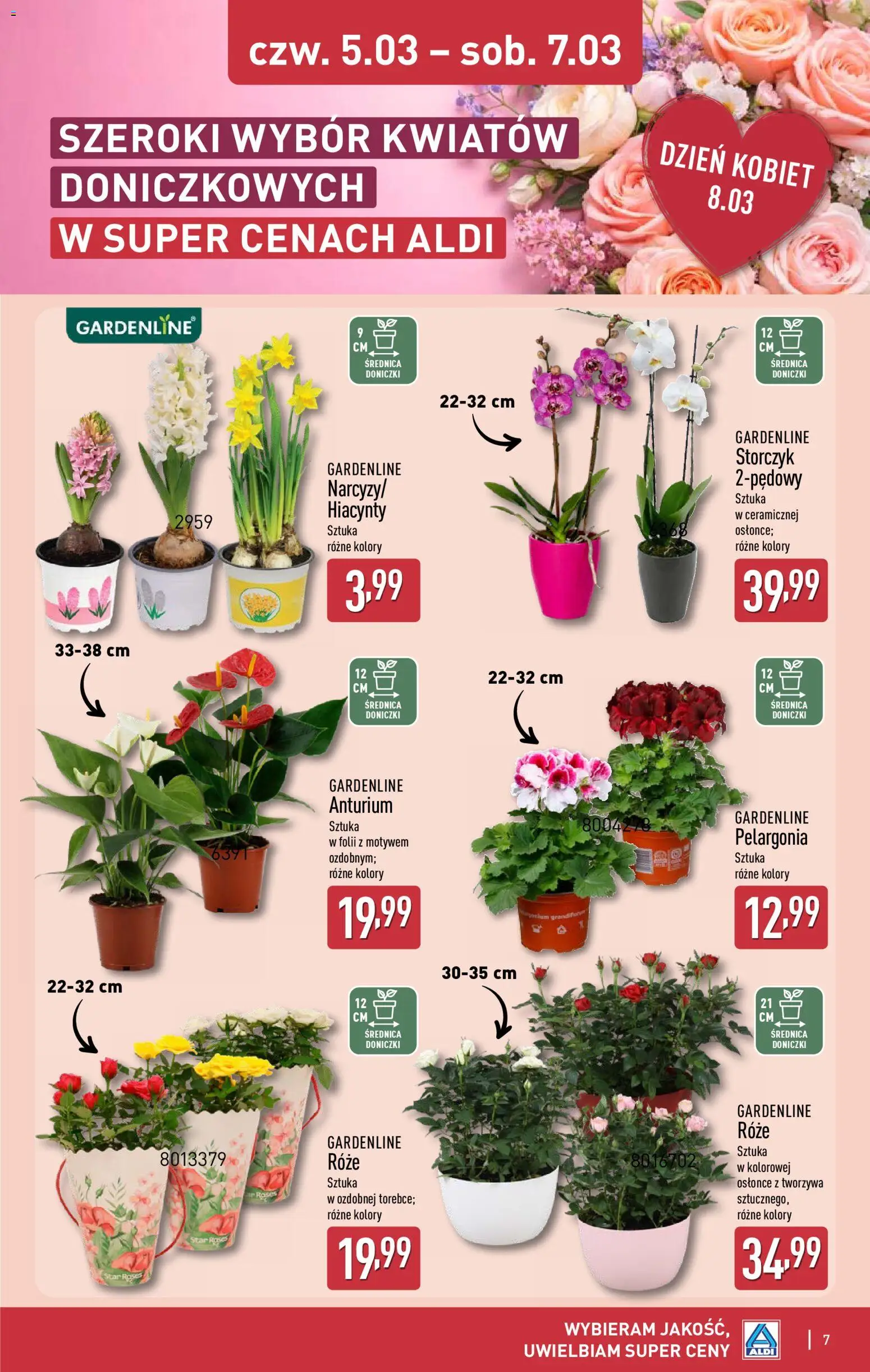 Aldi Polsko leták - Dzień kobiet od 02.03.2026 | Strana: 7 | Produkty: Storczyk