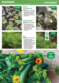  | Sivu: 17 | Tuotteet: Siemenet, Kurkku