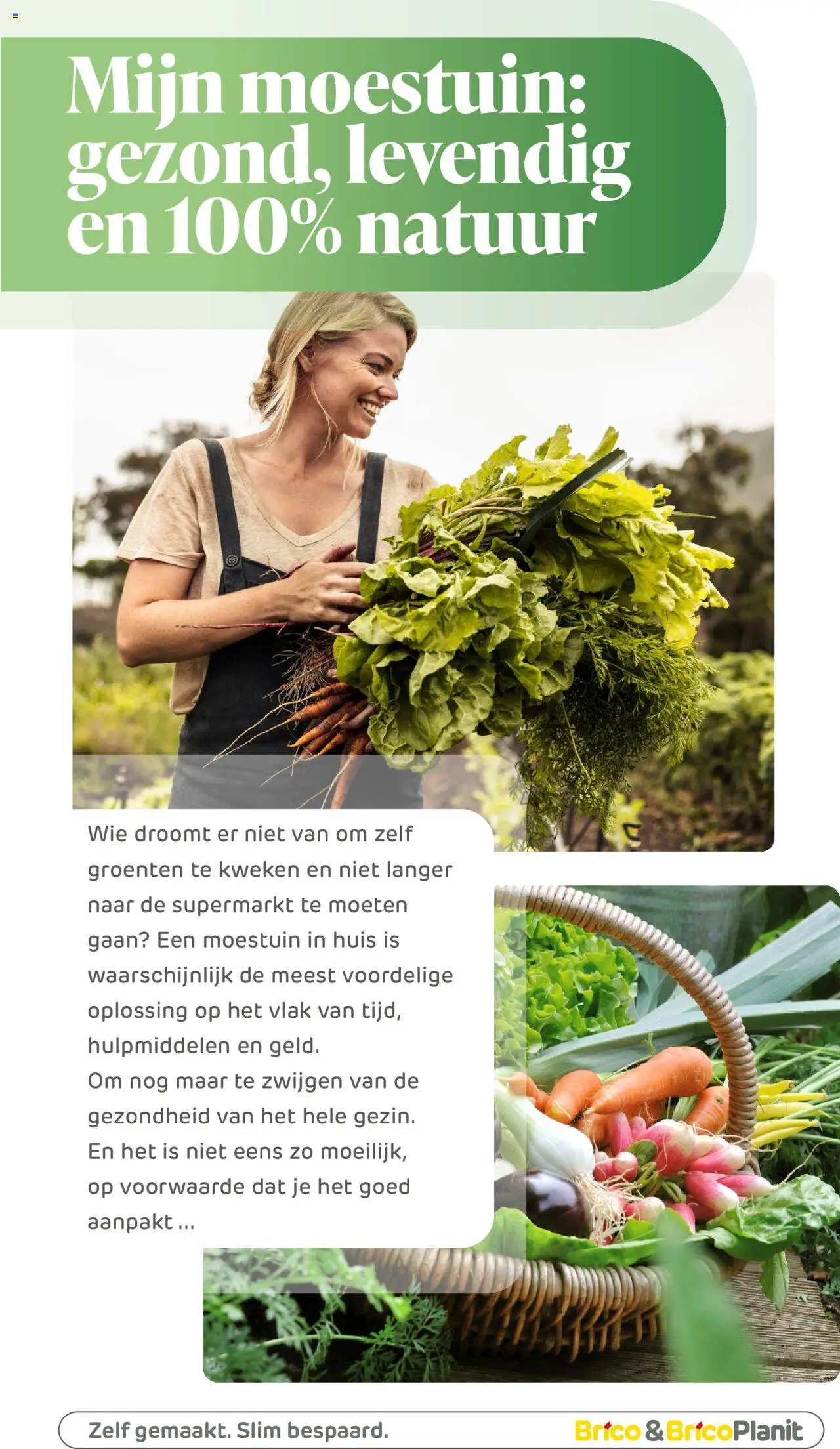  | Pagina: 180 | Producten: Groenten