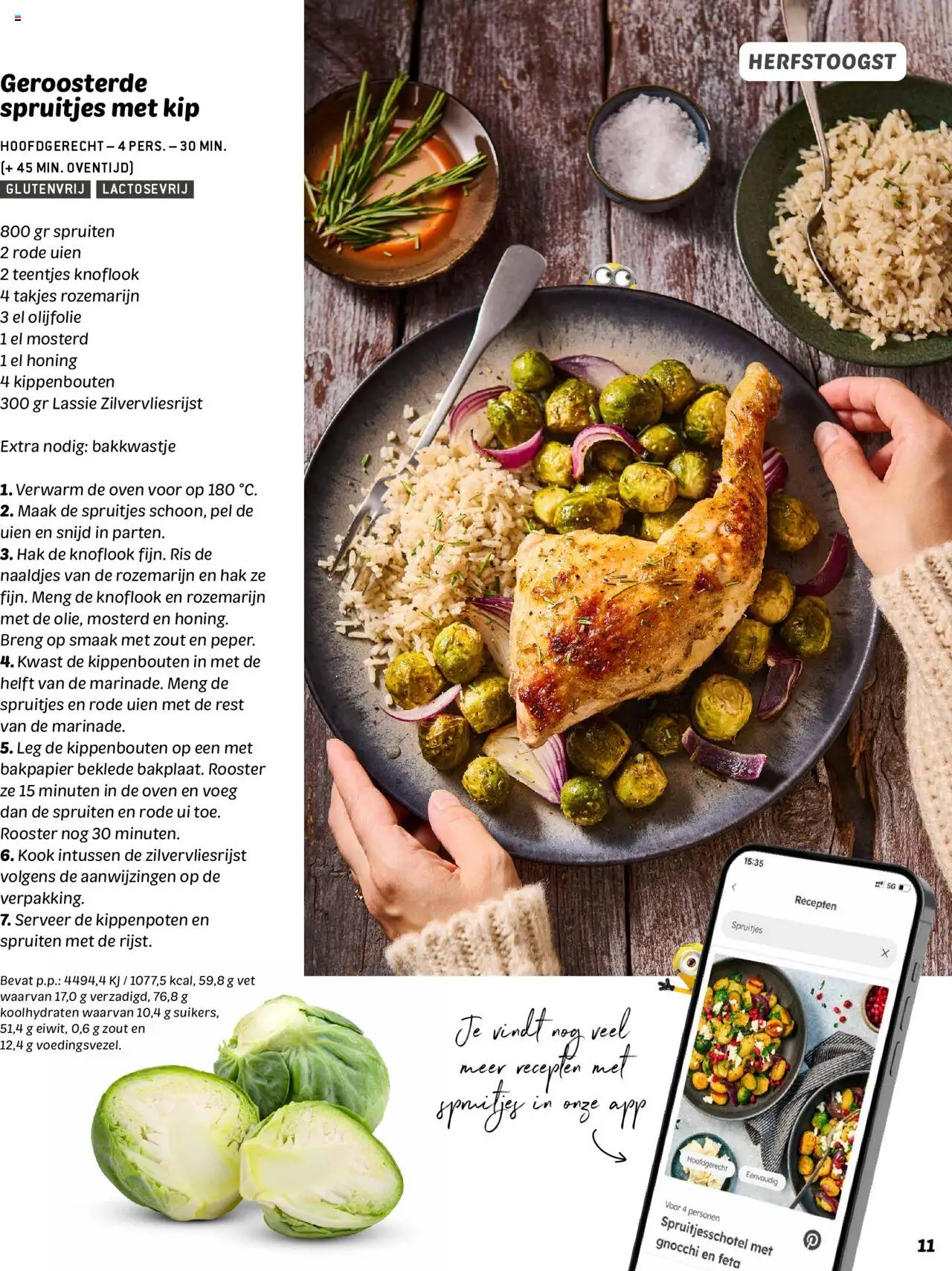 {H1} | Pagina: 11 | Producten: Ui, Olijfolie, Oven, Knoflook