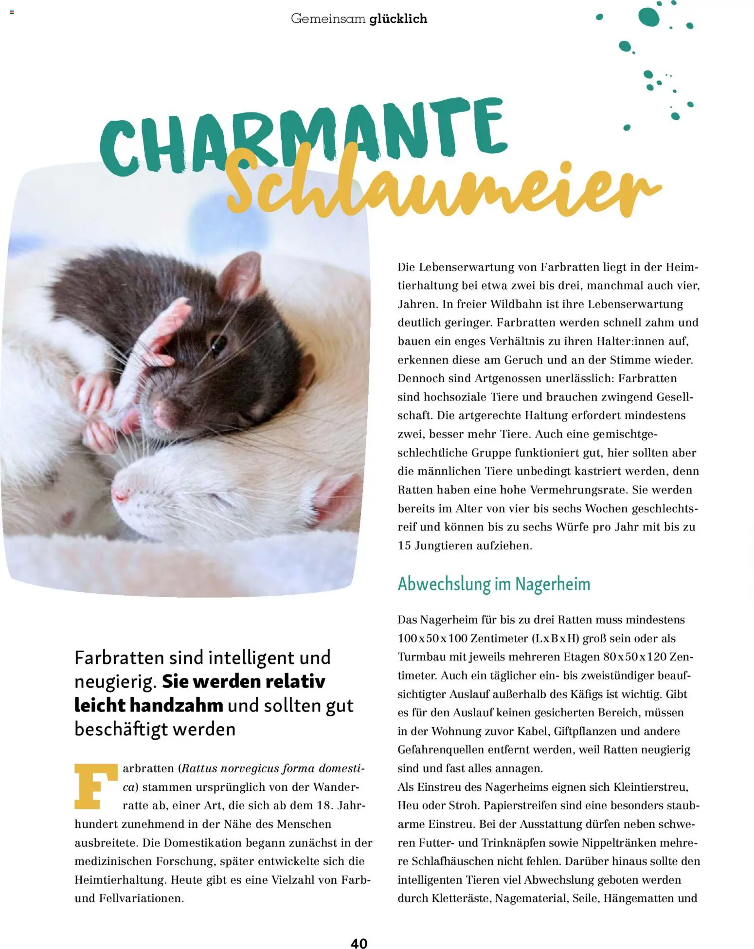 Fressnapf Friends Magazin – gültig ab 01.11.2025 | Seite: 40