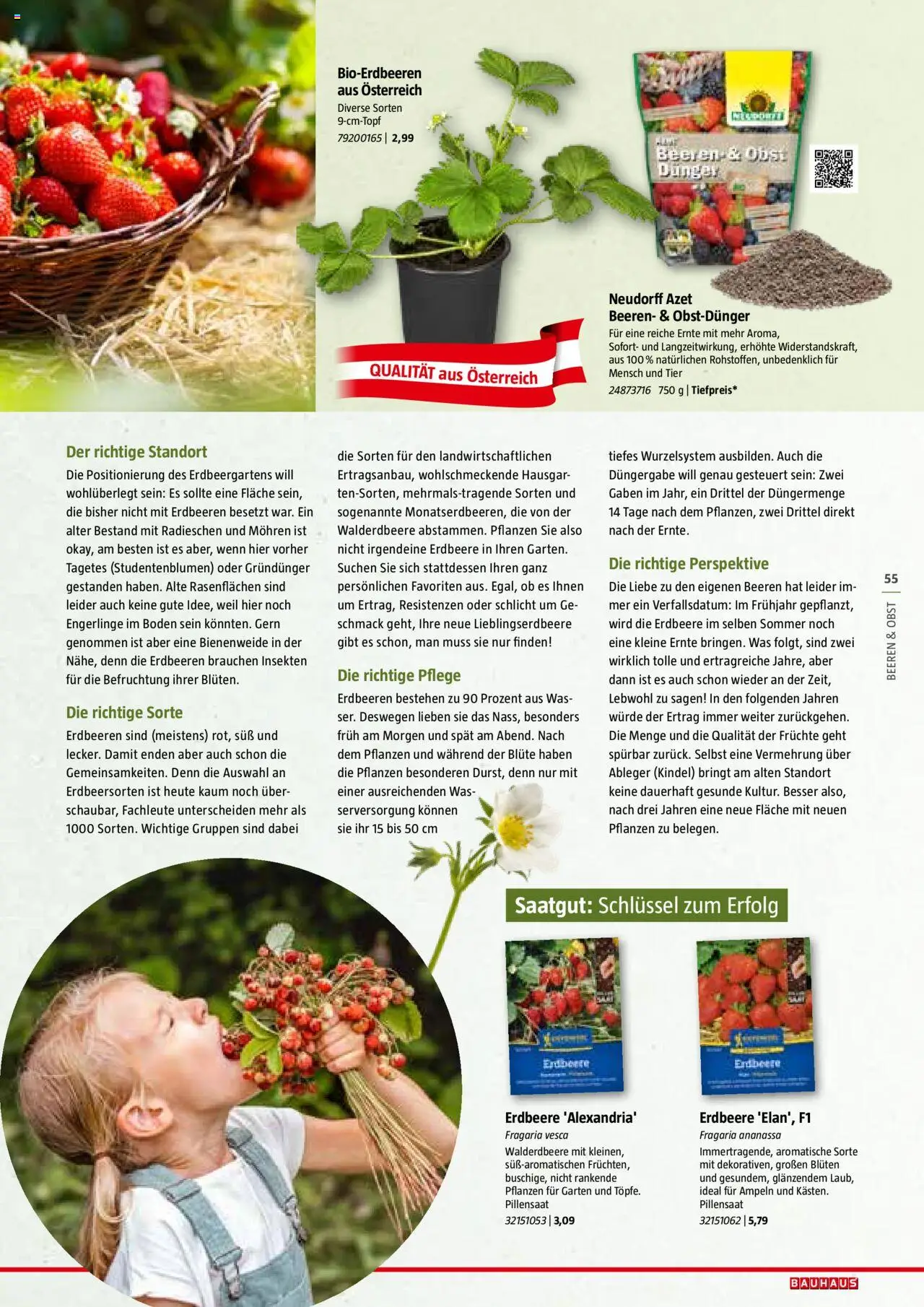 Bauhaus Reiche Ernte Magazin 2025 gültig ab 01.07.2025 | Seite: 55 | Produkte: Erdbeeren, Obst
