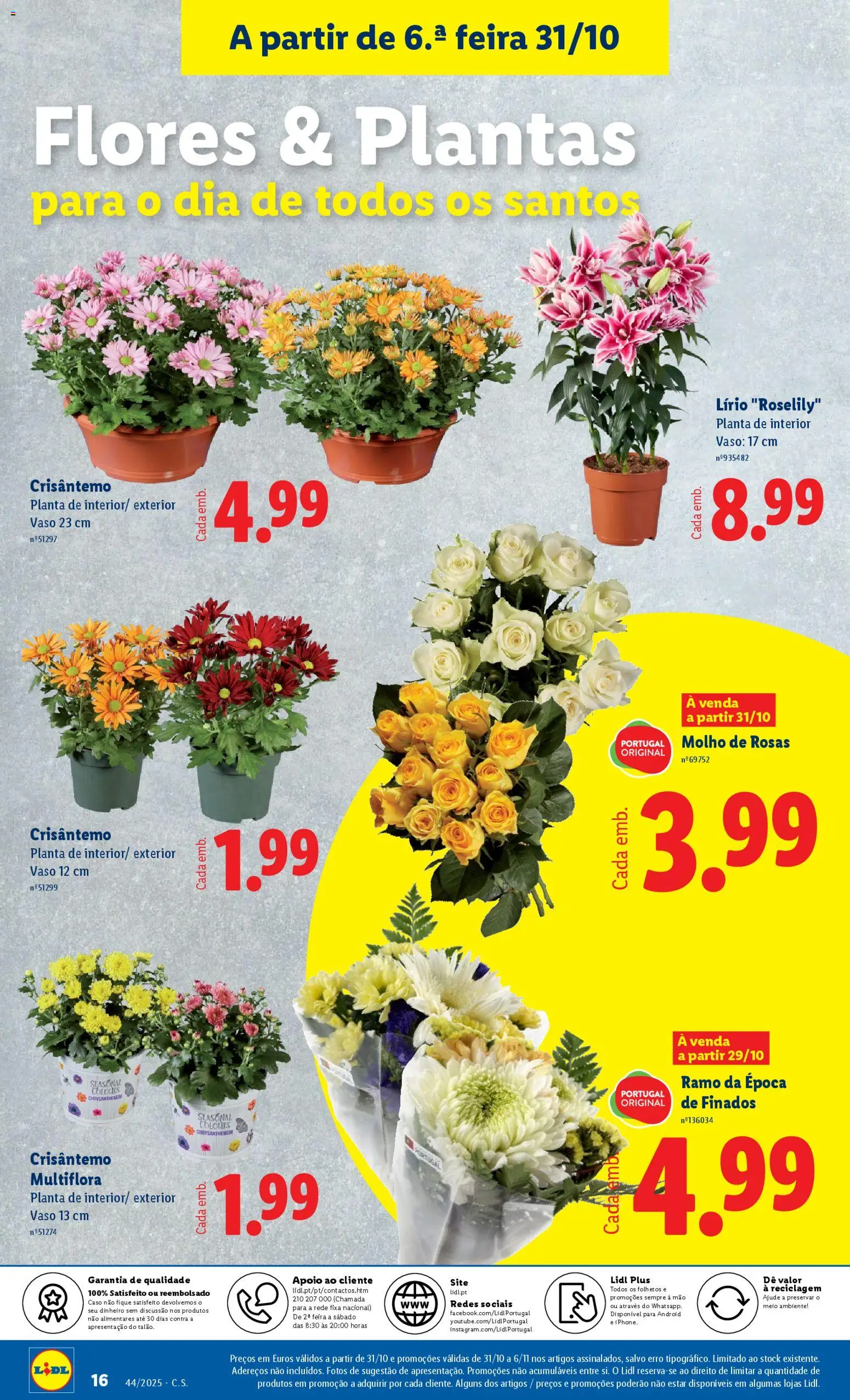 Lidl Novidades │ válido de 27.10.2025 | Página: 16 | Produtos: Flores, Vaso