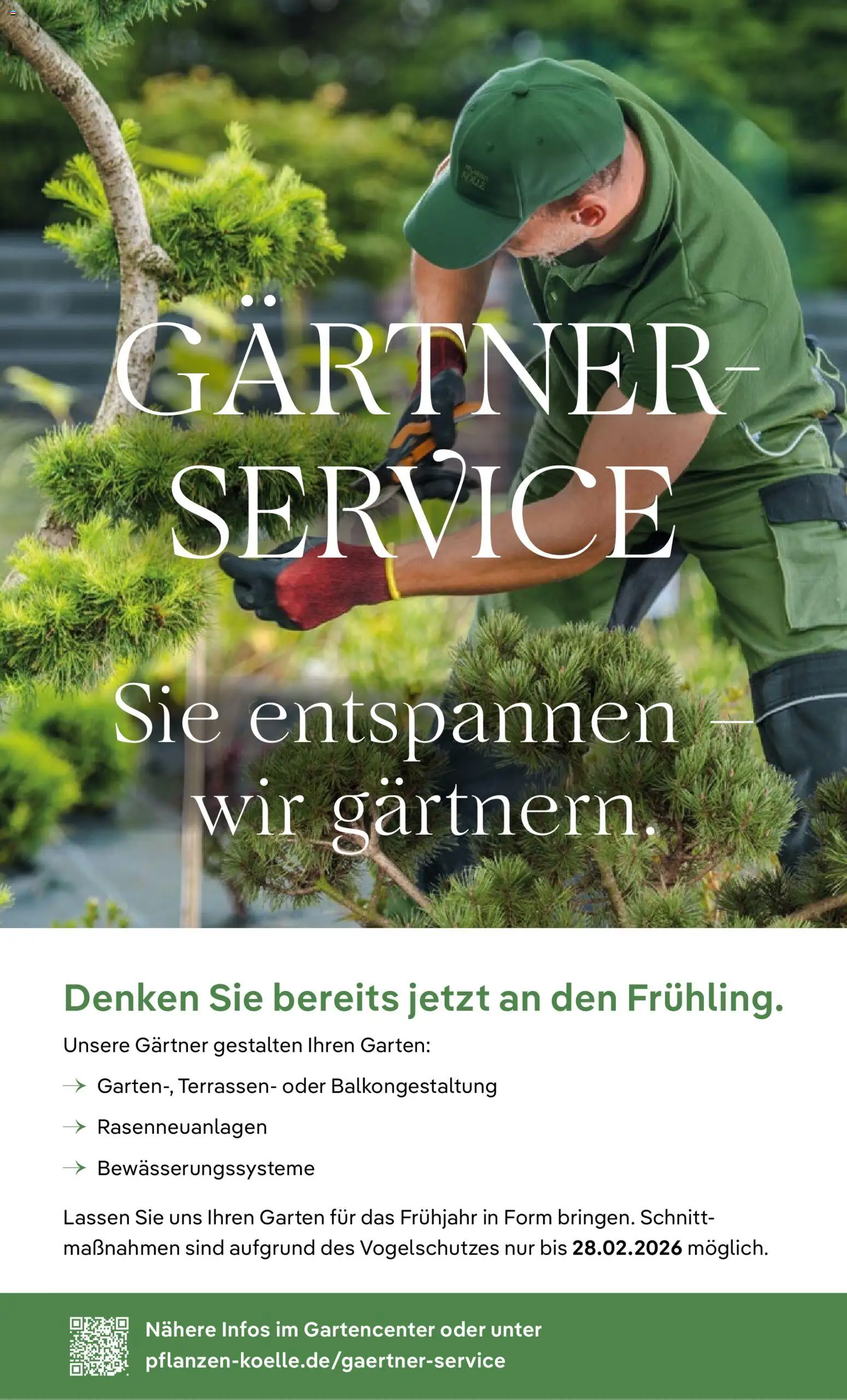 Pflanzen-Kölle Valentinstag – gültig ab 09.02.2026 | Seite: 10