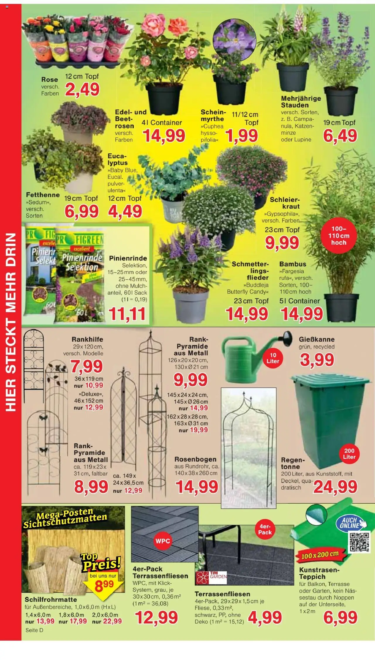 Jawoll Prospekt - gültig ab dem 30.06.2025 | Seite: 8 | Produkte: Teppich, Kraut