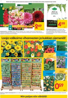 Rusta-mainoslehti voimassa 23.03.2026 alkaen | Sivu: 17 | Tuotteet: Paprika, Persilja, Lehtisalaatti