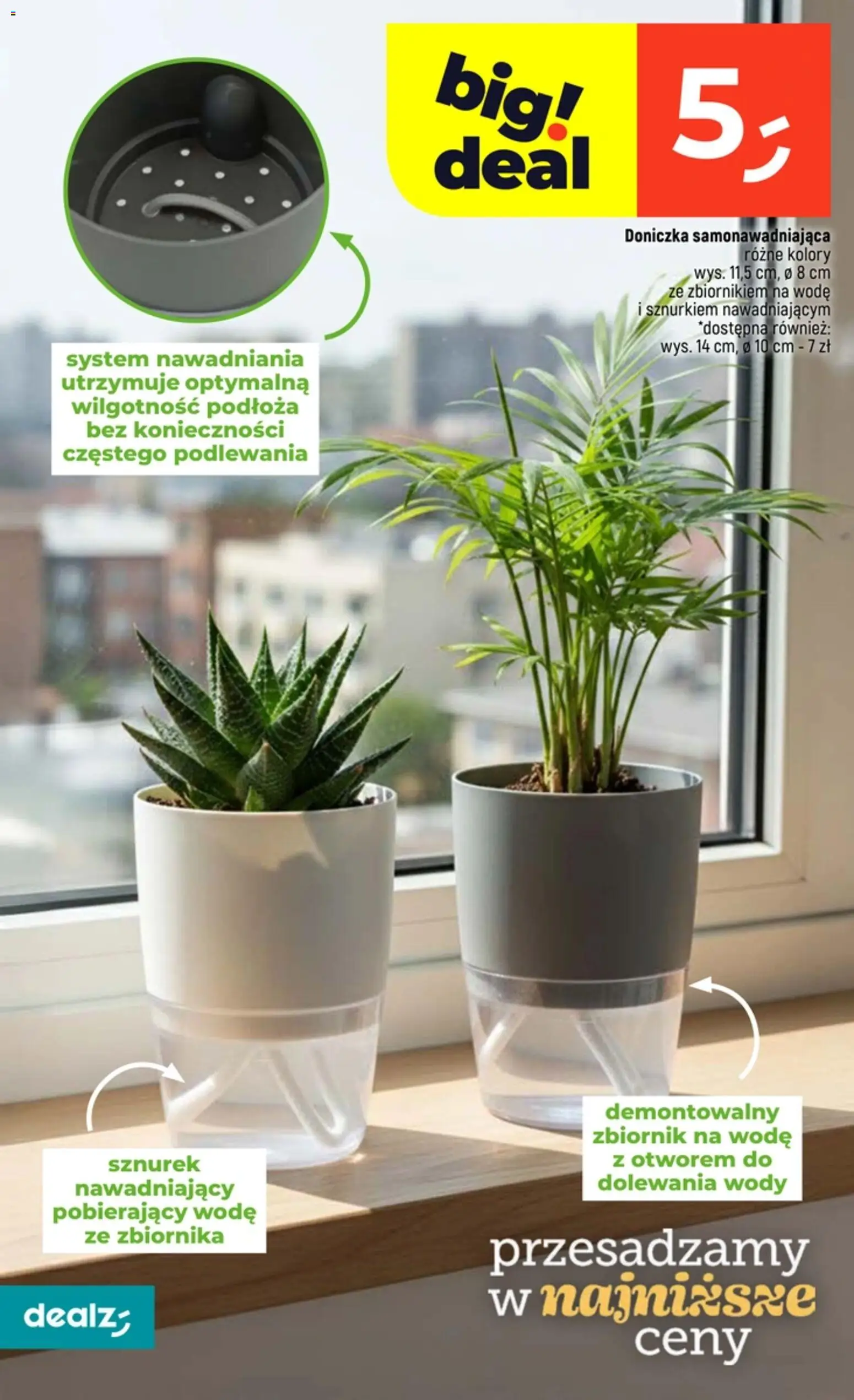 Dealz Gazetka od 29.01.2026 | Strona: 36