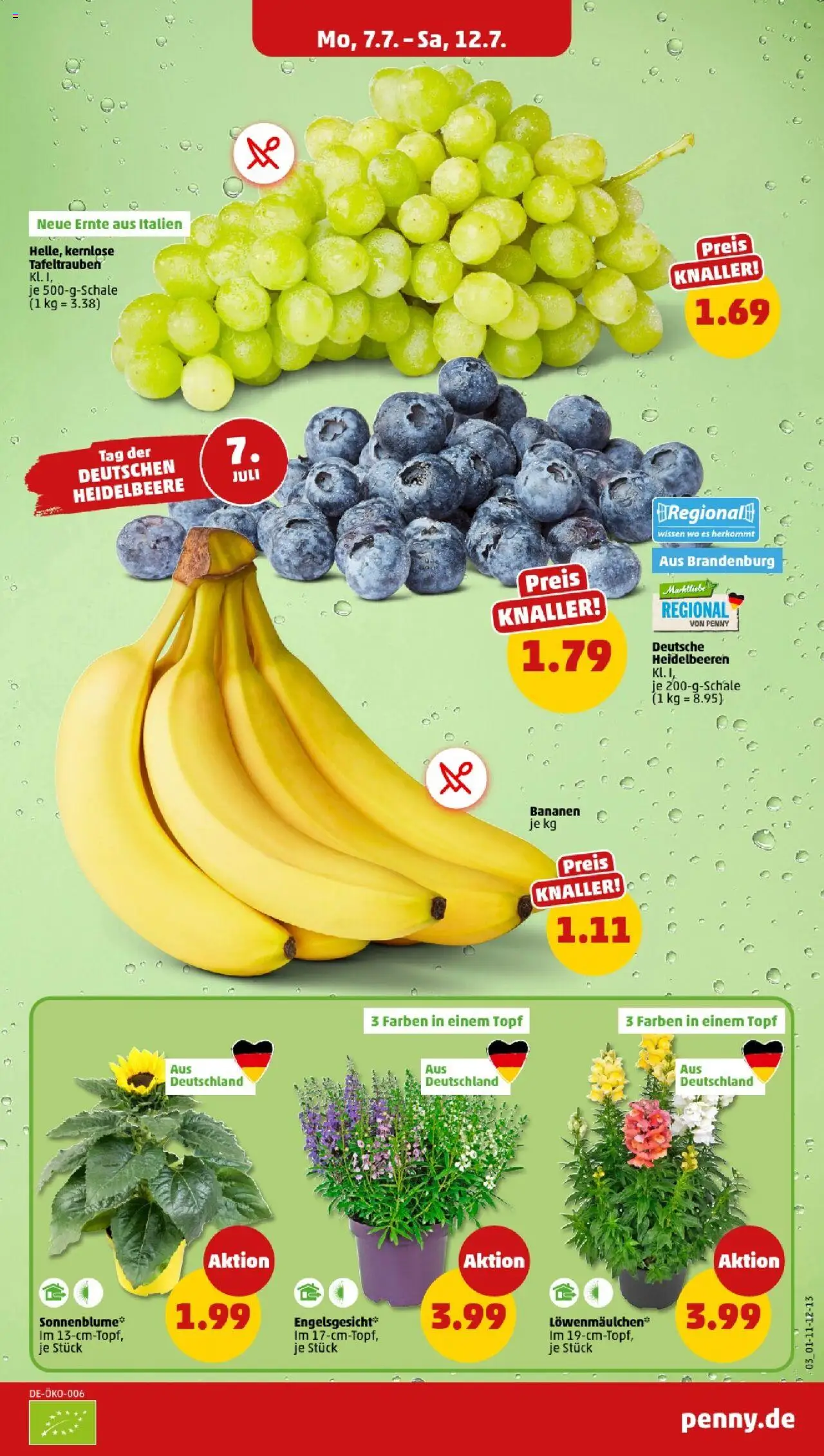 Penny - Sachsen-Anhalt - gültig ab dem 07.07.2025 | Seite: 3 | Produkte: Bananen, Heidelbeeren