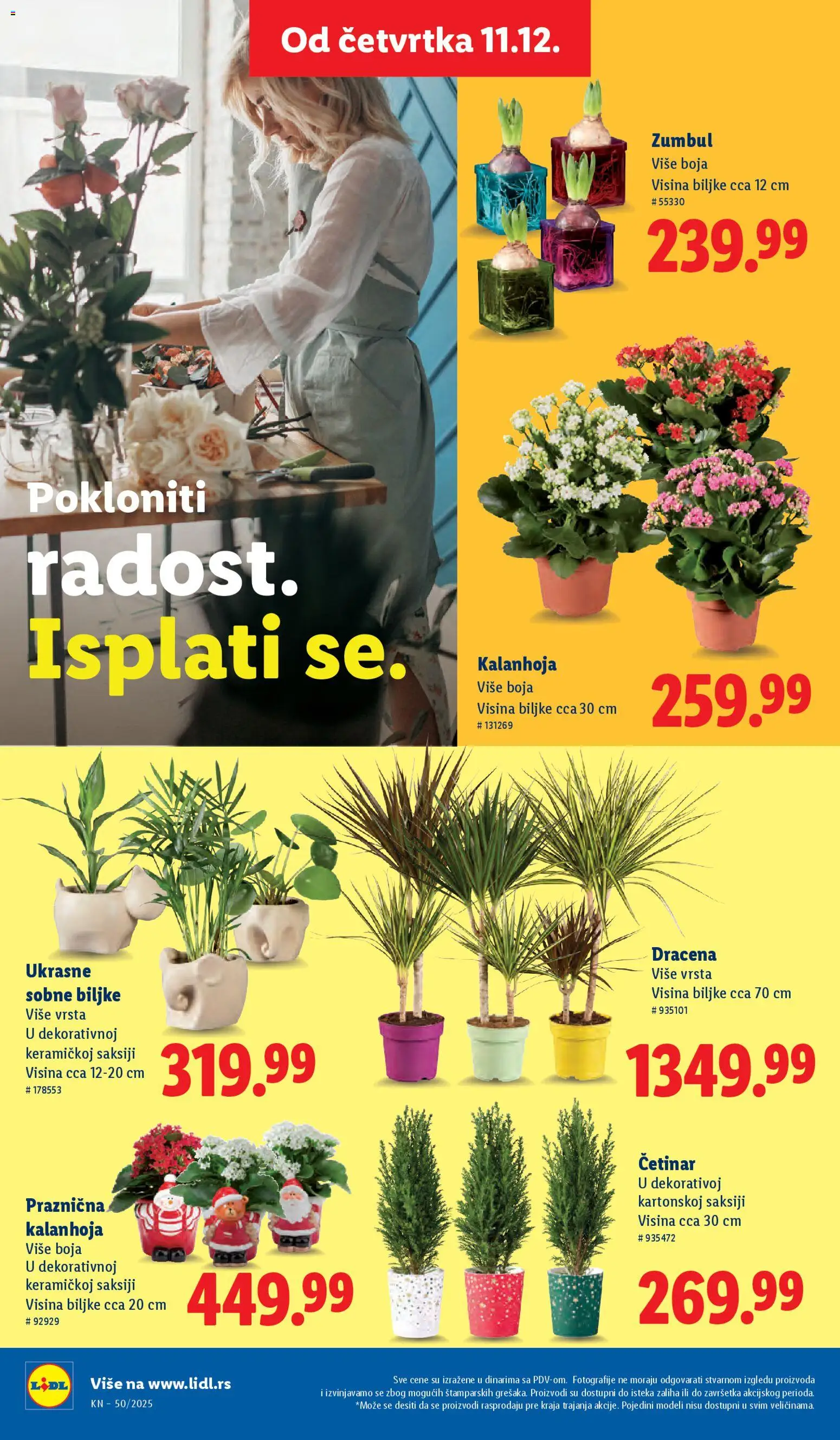 Lidl katalog - važi od 11.12.2025 | Strana: 62