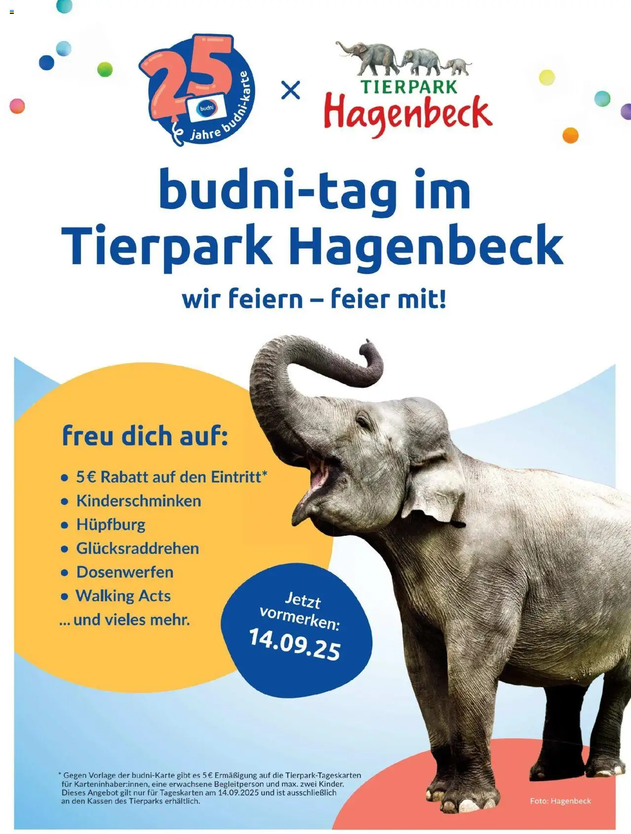 Budni Perle Magazin 04/25 - gültig ab dem 13.07.2025 | Seite: 23 | Produkte: Walking